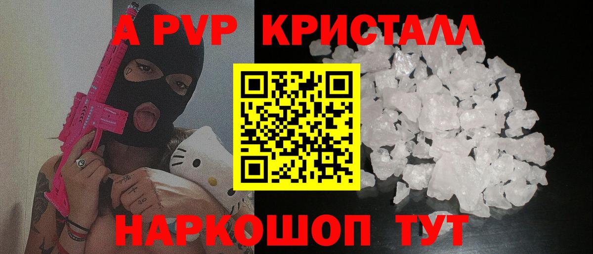 A PVP СК КРИС Балтийск
