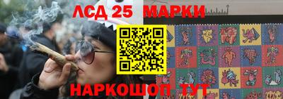 шишки Бузулук