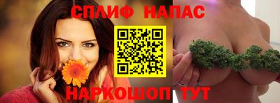 индика Будённовск