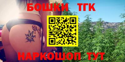 индика Будённовск