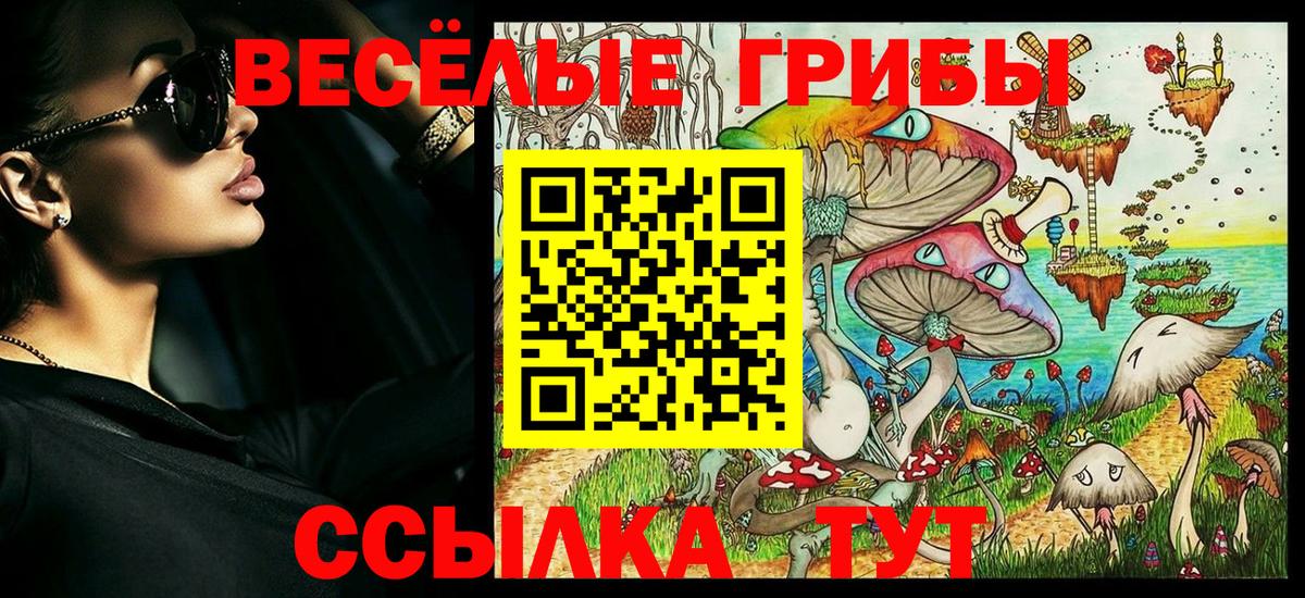Галлюциногенные грибы ЛСД  Вход с VPN  Галлюциногенные грибы ЛСД  Балтийск 